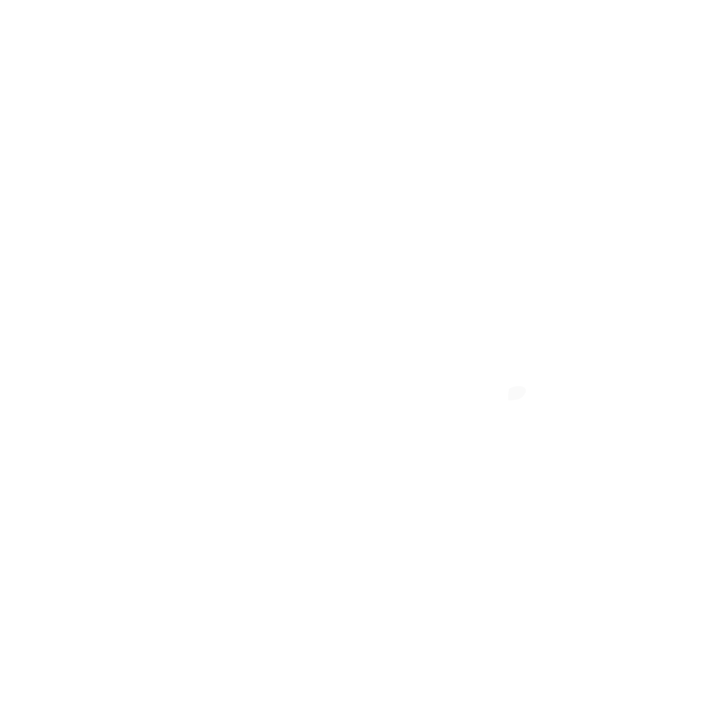 cute raccoon icon